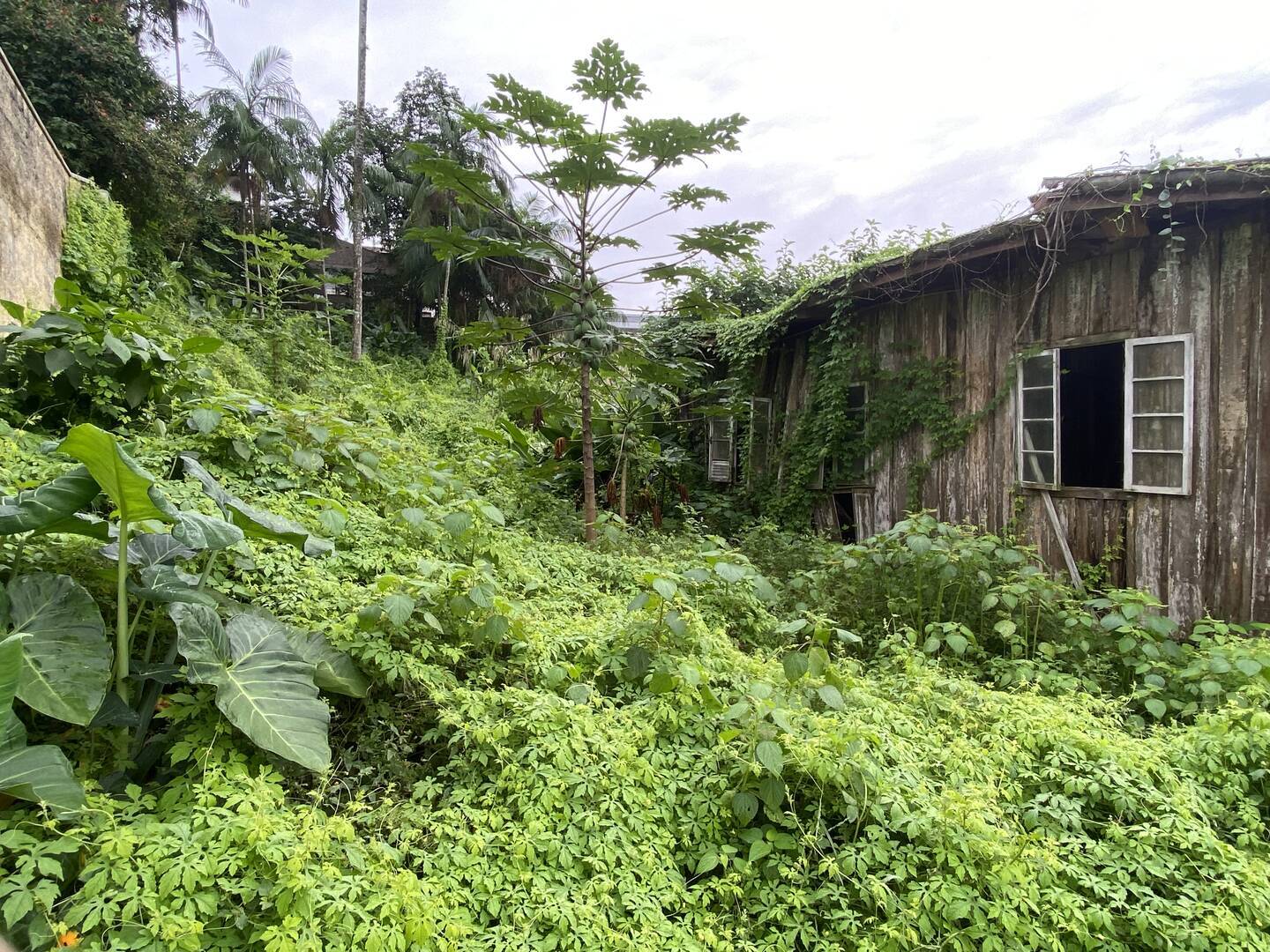 #442 - Área para Venda em Blumenau - SC