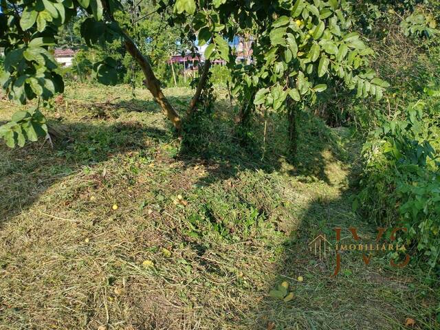 Área para Venda em Blumenau - 2