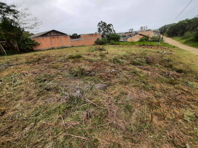 #975 - Terreno para Venda em Balneário Piçarras - SC - 3