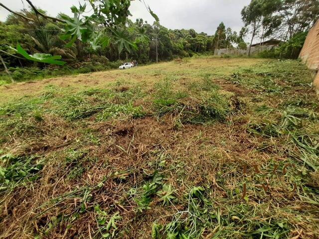 #975 - Terreno para Venda em Balneário Piçarras - SC - 2